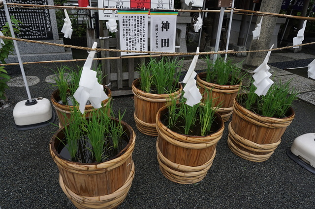 DSC02898.JPG