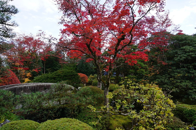 DSC00557.JPG
