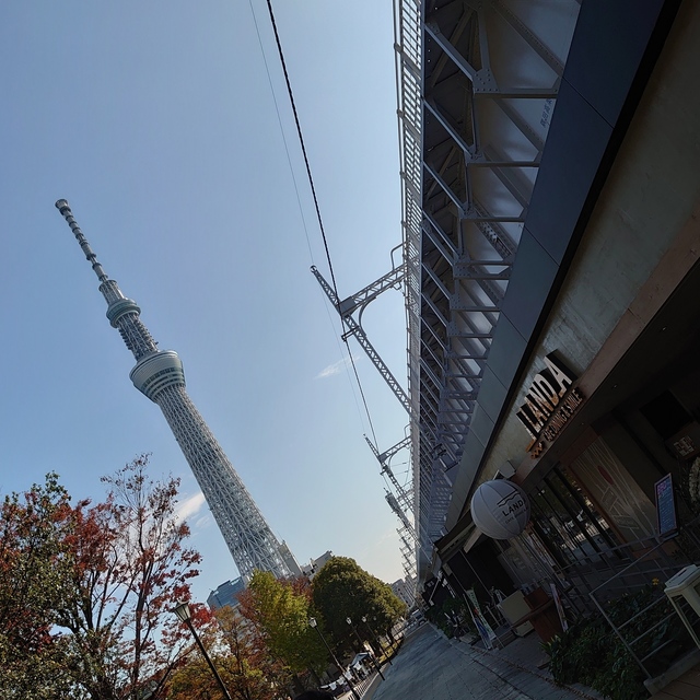 DSC_5350.JPG