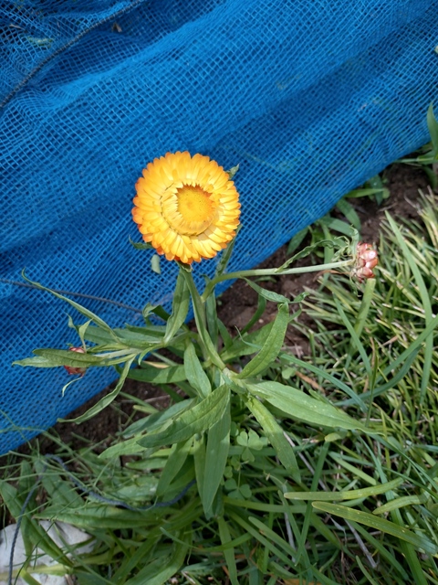 20240529_083720.JPG