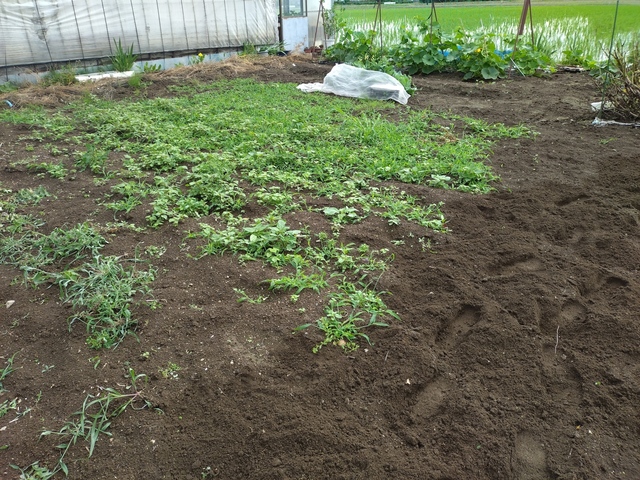 20240529_090906.JPG