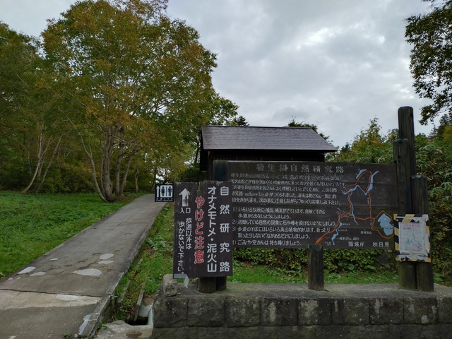 20241008_154358.JPG