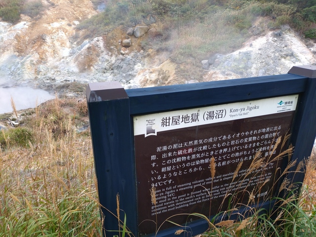 20241008_154929.JPG