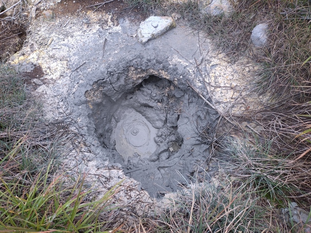 20241008_155640.JPG