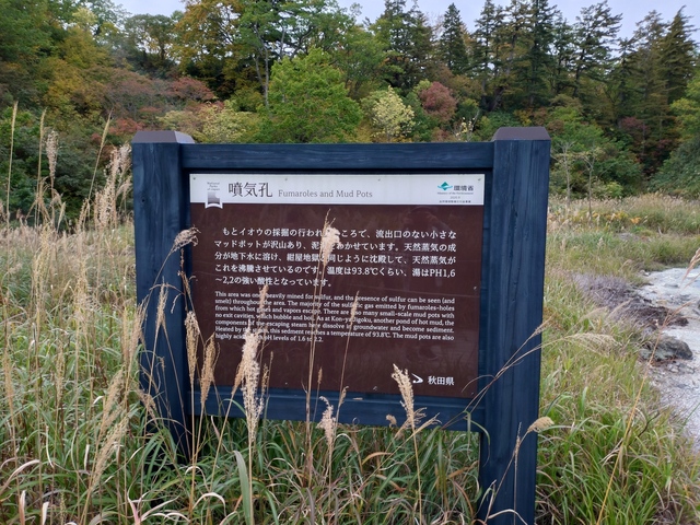 20241008_155651.JPG
