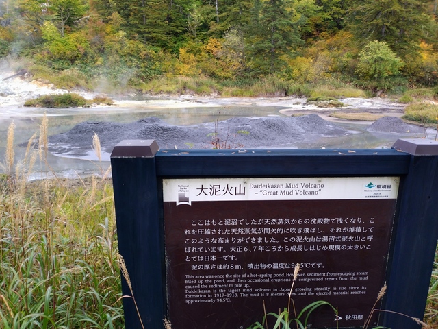 20241008_155956.JPG