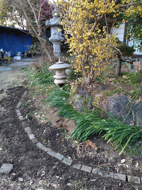 20250124_154955.JPG