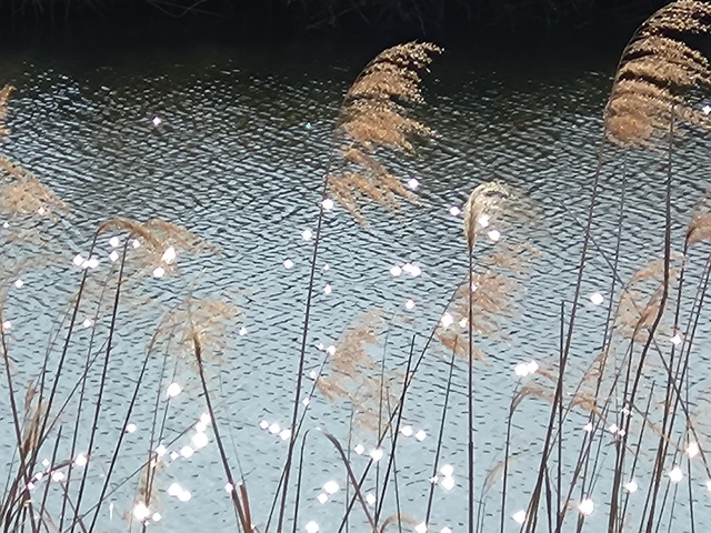 20250310_080809.JPG