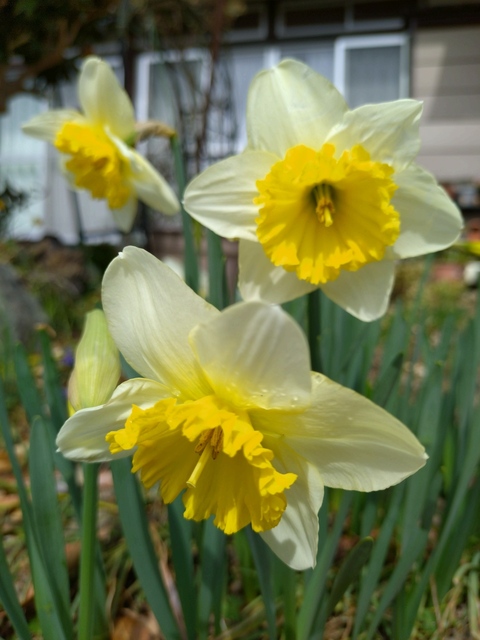 20250312_115646.JPG