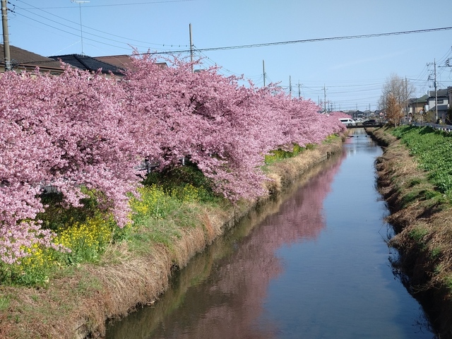 20250314_142040.JPG