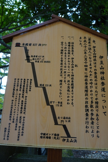 DSC02333.JPG