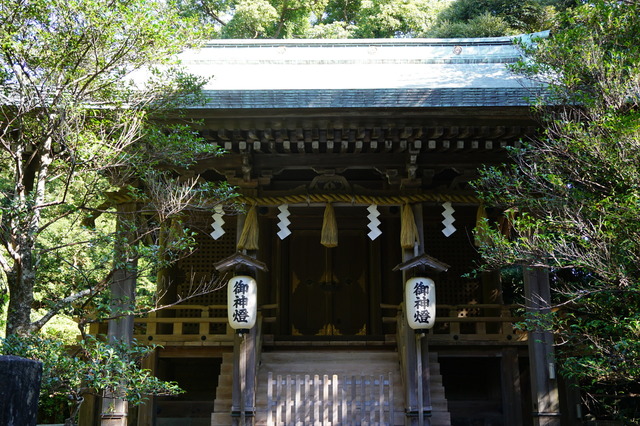 DSC02381.JPG