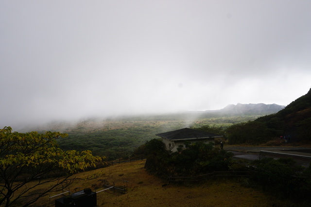 DSC02429.JPG