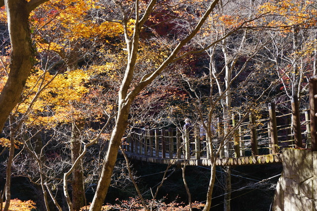 DSC02461.JPG